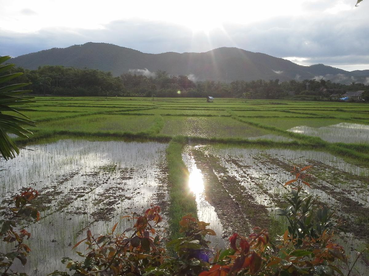 Jamjuree Garden Bed & Breakfast Ban Thung Ma Nieo Dış mekan fotoğraf